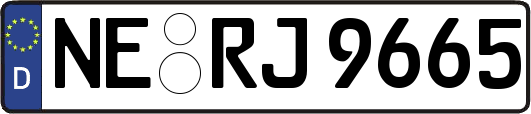 NE-RJ9665