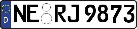 NE-RJ9873
