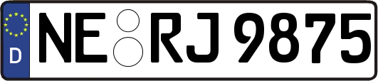 NE-RJ9875