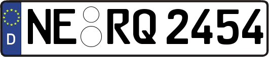 NE-RQ2454