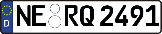 NE-RQ2491