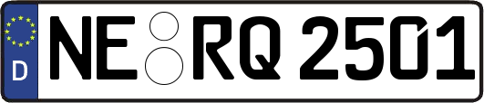 NE-RQ2501