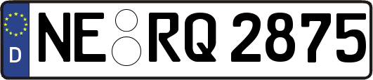 NE-RQ2875