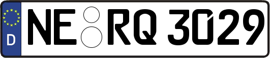NE-RQ3029