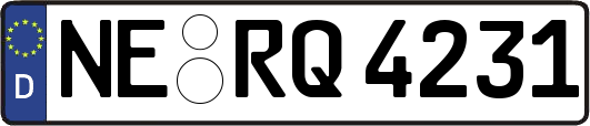 NE-RQ4231