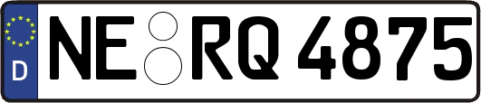 NE-RQ4875