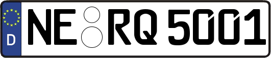 NE-RQ5001