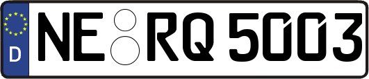 NE-RQ5003