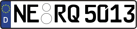 NE-RQ5013