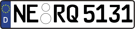 NE-RQ5131