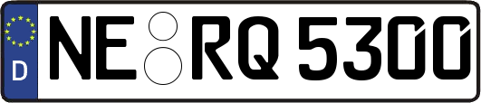 NE-RQ5300
