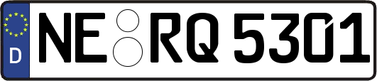 NE-RQ5301