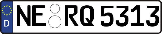 NE-RQ5313