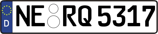 NE-RQ5317