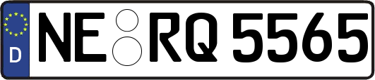 NE-RQ5565