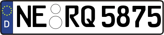 NE-RQ5875