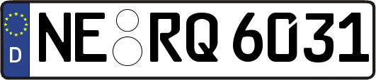 NE-RQ6031