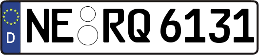 NE-RQ6131