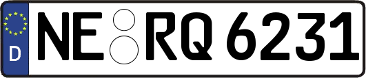 NE-RQ6231