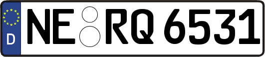 NE-RQ6531