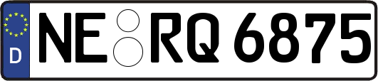 NE-RQ6875