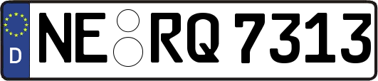 NE-RQ7313