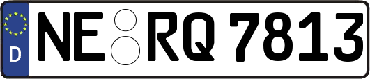 NE-RQ7813