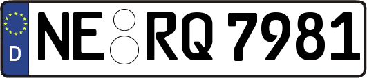 NE-RQ7981