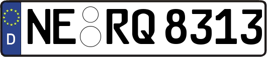 NE-RQ8313