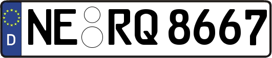 NE-RQ8667