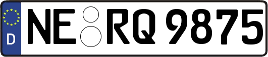 NE-RQ9875
