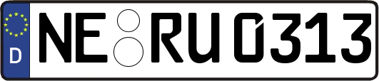 NE-RU0313