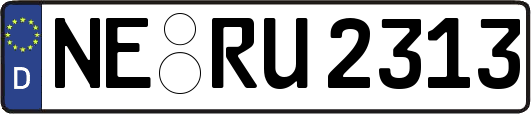 NE-RU2313