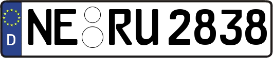 NE-RU2838