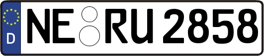 NE-RU2858