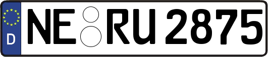NE-RU2875
