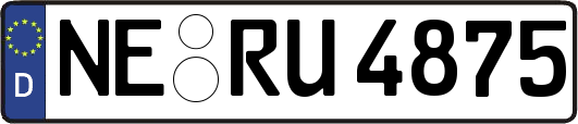 NE-RU4875