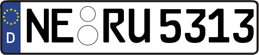 NE-RU5313