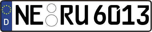 NE-RU6013