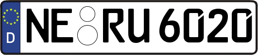 NE-RU6020