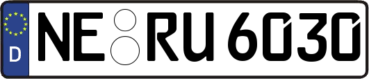 NE-RU6030