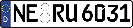NE-RU6031