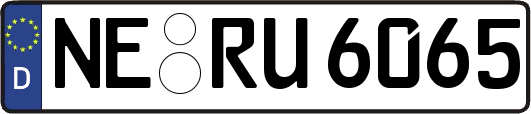 NE-RU6065