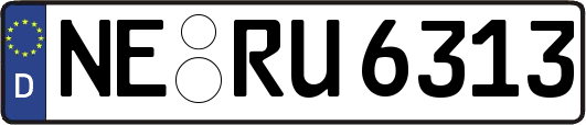 NE-RU6313