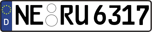 NE-RU6317