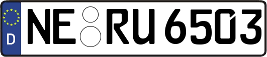 NE-RU6503