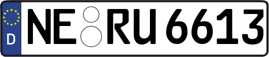 NE-RU6613