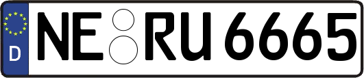NE-RU6665