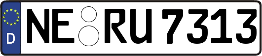 NE-RU7313