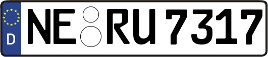 NE-RU7317